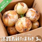農家直送 淡路島新玉ねぎ