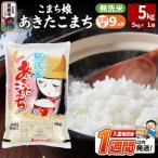 定期便9ヶ月 こまち娘 あきたこまち 無洗米 5kg