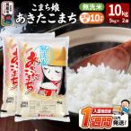定期便10ヶ月 こまち娘 あきたこまち 無洗米 10kg
