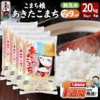 定期便9ヶ月 こまち娘 あきたこまち 無洗米 20kg