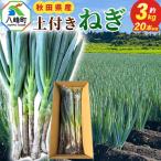 土付きねぎ 約3kg