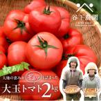 先行受付 訳アリ 約2kg