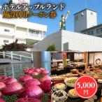 ホテルアップルランド 施設利用券5000円