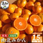 山北みかん 露地 1.5kg