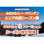 みなかみスノーマウンテン共通シーズン券