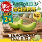 2027年夏発送 岸田農園産青肉メロン2玉 1玉1.8kg 10セット