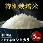 令和8年産 特別栽培米 こだわり コシヒカリ 5kg