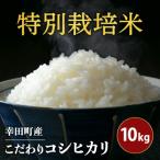 令和8年産 特別栽培米 こだわり コシヒカリ 10kg