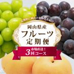 ふるさと納税 津山市 【発送月固定定期便】A 岡山県産 シャインマスカット(晴王)・あたご梨ほか全3回