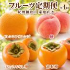 紀州和歌山産旬のフルーツセット バレンシア