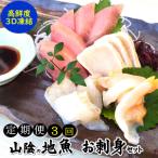 山陰の地魚お刺身セット アニサキス対策
