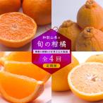 和歌山有田の季節の柑橘5kg 定期便 3か月ごと