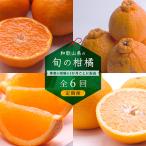 和歌山有田の季節の柑橘5kg フルーツ定期便