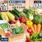 ふるさと納税 鹿島市 【毎月定期便】肥前の国のお野菜詰め合わせセット(鹿島市)全12回