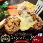 チーズがとろける 別海チーズインハンバーグ 120g×6個