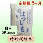 6ヶ月 特別栽培米5kg ハツシモ 全6回