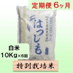 6ヶ月 特別栽培米10kg ハツシモ 全6回