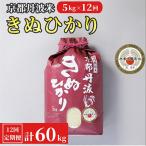 京都丹波米 きぬひかり 5kg全12回