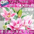 ユリ オリエンタルリリー 7本
