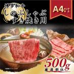 博多和牛 切り落とし 500g