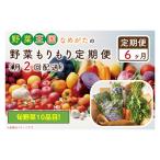 野菜王国なめがたの野菜もりもり定期便月2回発送CU-141全12…