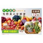 野菜王国なめがたの旬野菜の定期便全12回