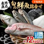 若狭小浜港のお任せ天然鮮魚セット 全6回