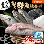 若狭小浜港のお任せ天然鮮魚セット 全12回