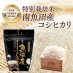 南魚沼産コシヒカリ 精米 2kg×4袋全3回