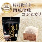特別栽培米 南魚沼産コシヒカリ 精米8kg