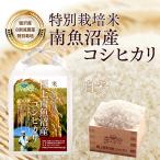 特別栽培米 南魚沼産コシヒカリ 白米10kg