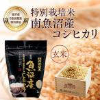 特別栽培米 南魚沼産コシヒカリ 玄米8kg