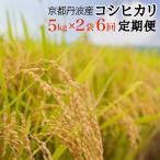 JA京都 たわわ朝霧の京都丹波産 コシヒカリ 10kg