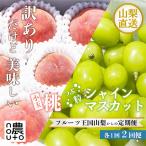 ふるさと納税 笛吹市 【発送月固定定期便】訳あり美味しい果物 小玉桃 粒シャインマスカット全2回