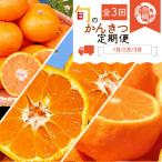 紀州和歌山産旬のフルーツセット みかん