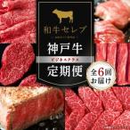 牛肉 ステーキ 毎月定期便 和牛セレブの神戸牛定期便