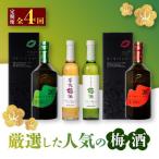 厳選したの梅酒 全4回