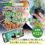 SL0232 植物と花を育てるキットの定期便