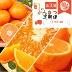 紀州和歌山産旬のフルーツセット みかん