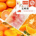 紀州和歌山産旬のフルーツセット みかん