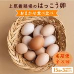 上原養鶏場のはっこう卵 3~4種おまかせ食べ比べ