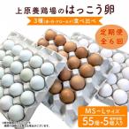 上原養鶏場のはっこう卵 3種食べ比べMS~Lサイズ