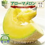 アローマメロン 中玉 1玉