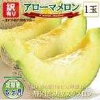 ふるさと納税 磐田市 【毎月定期便】【高級メロンの訳あり品】アローマメロン1玉・6ヵ月毎月お届け全6回