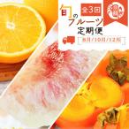 紀州和歌山産旬のフルーツセット セミノール