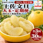 日本 大賞受賞文旦発祥土佐文旦10kg全3回