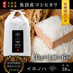 玄米3kg 魚沼産コシヒカリ 山清水米