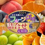 旬を見極めた厳選フルーツ詰合せ 5~8品