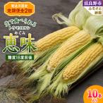 ふるさと納税 富良野市 【発送月固定定期便】「生」で食べられる!北海道富良野産 トウモロコシ 恵味(めぐみ)10本入り全2回