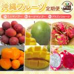 ふるさと納税 豊見城市 【発送月固定定期便】【2026年発送】沖縄フルーツ定期便(7・8・9月コース)全3回